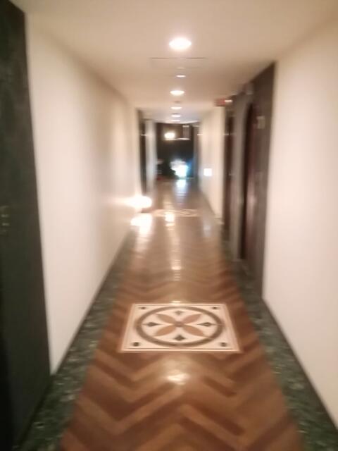 H＆L HOTEL（ハートランドイモン）(江戸川区/ラブホテル)の写真『廊下です。(21,7)』by キジ