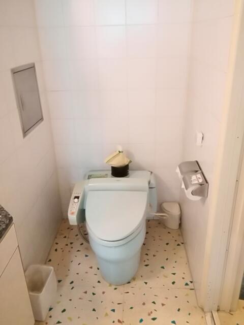 H＆L HOTEL（ハートランドイモン）(江戸川区/ラブホテル)の写真『208号室、トイレです。(21,7)』by キジ