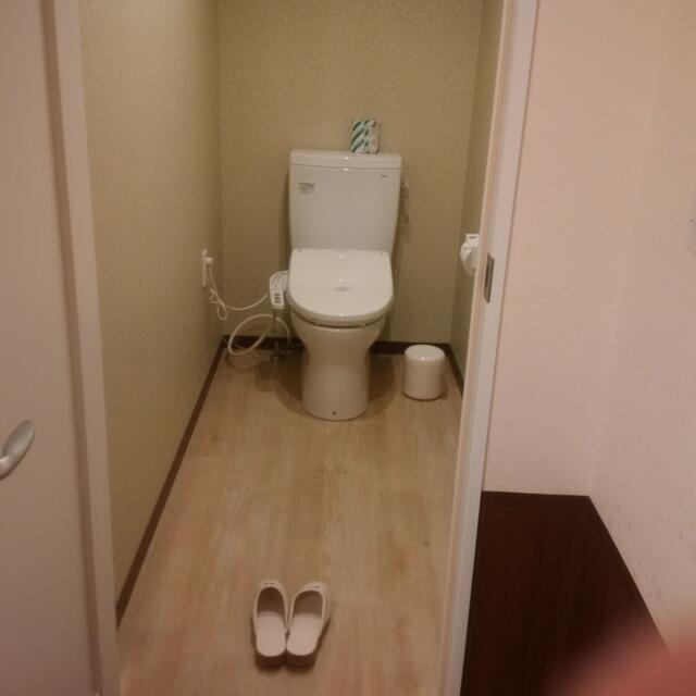 ホテルシティ(立川市/ラブホテル)の写真『505号室　トイレ（扉から遠い）』by 市
