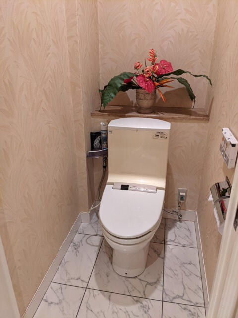 フェスタ相模原(相模原市/ラブホテル)の写真『415号室 トイレ』by ランベア