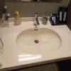 ホテル大山(新宿区/ラブホテル)の写真『106号室の洗面台　トイレのドアの中にあるので使い勝手は？？』by angler