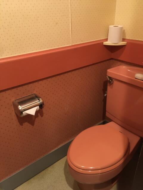 ドルフィン(新宿区/ラブホテル)の写真『302号室 トイレもピンク』by 92魔