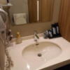 ホテル大山(新宿区/ラブホテル)の写真『306号室　トイレ内に洗面台』by angler