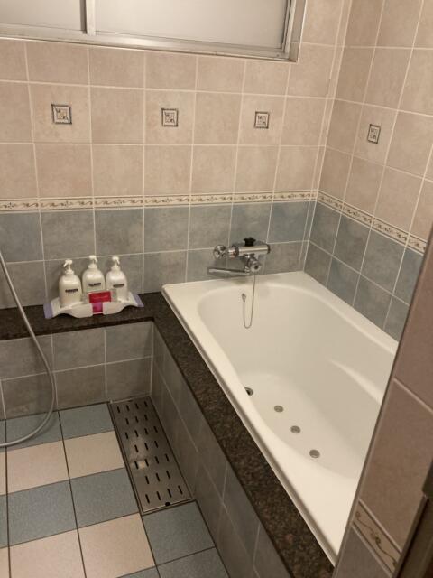 ホテル MARE（マーレ）(品川区/ラブホテル)の写真『208 浴室ゆったりしてて洗い場はまぁまぁ広め』by bix57