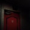 ホテル ステーション本店(台東区/ラブホテル)の写真『202号室　扉前は暗いです』by 市