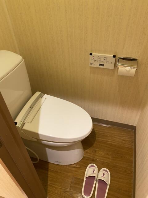 アネックス(川口市/ラブホテル)の写真『206号室(トイレ)』by こねほ
