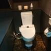 HOTEL EMERALD（エメラルド）(品川区/ラブホテル)の写真『603号室 トイレ』by 舐めたろう