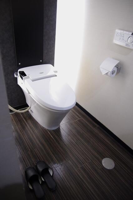 ウォーターゲート川口(川口市/ラブホテル)の写真『407号室　洗浄機能付きトイレ』by マーケンワン