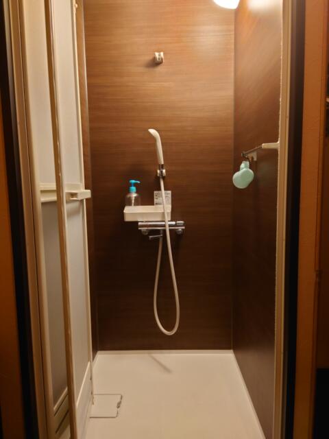 プチホテル AGAIN(荒川区/ラブホテル)の写真『201号室シャワールーム』by そこそこの人生