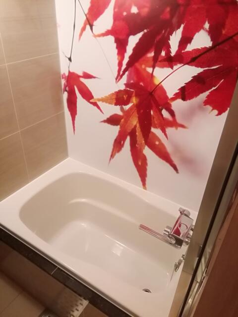 HOTEL KARUTA 赤坂(港区/ラブホテル)の写真『502号室、内風呂です。(21,8)』by キジ