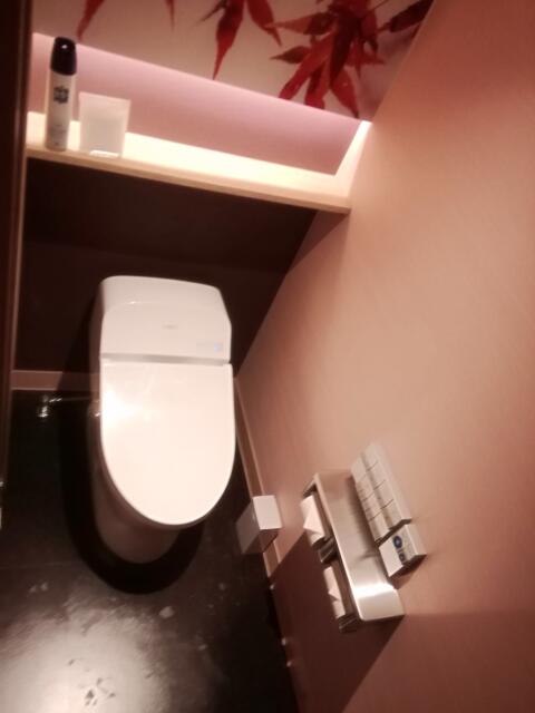 HOTEL KARUTA 赤坂(港区/ラブホテル)の写真『502号室、トイレです。(21,8)』by キジ
