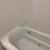HOTEL GERBERA(ガーベラ)(豊島区/ラブホテル)の写真『503号室(浴室内手前から)』by こねほ