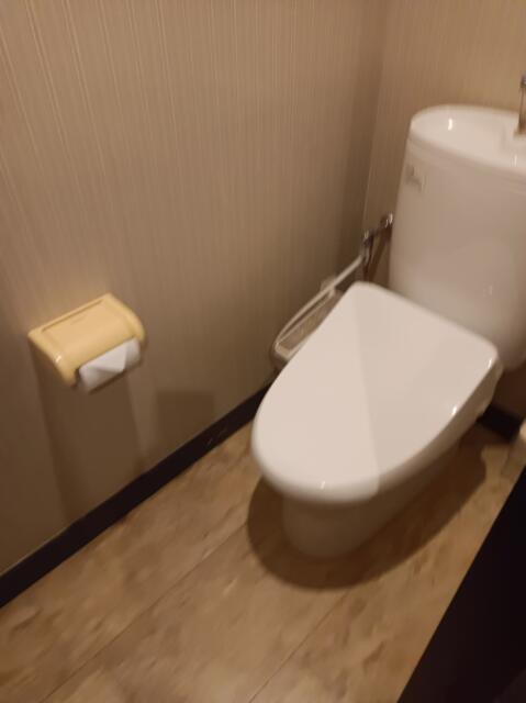 ホテル アテネ(柏市/ラブホテル)の写真『411号室　トイレ』by かーたー