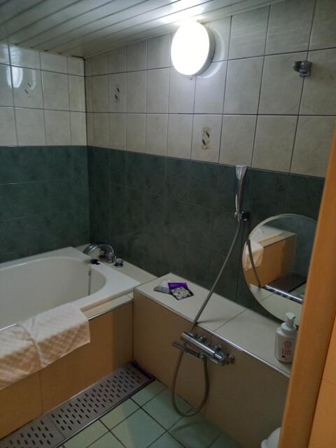 HOTEL GOLD(ホテル ゴールド)(川崎市川崎区/ラブホテル)の写真『603号室 浴室』by angler