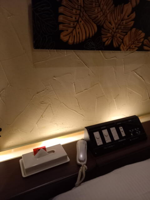 HOTEL GOLD(ホテル ゴールド)(川崎市川崎区/ラブホテル)の写真『603号室 調光ユニット』by angler
