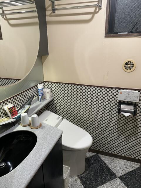 CHECK INN BALI(豊島区/ラブホテル)の写真『301号室　トイレ』by KAIJKR