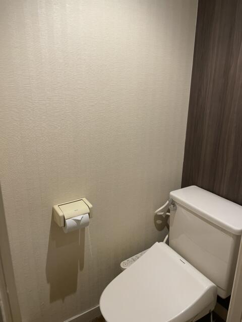hotel SKY ROAD(豊島区/ラブホテル)の写真『321号室　トイレ』by KAIJKR