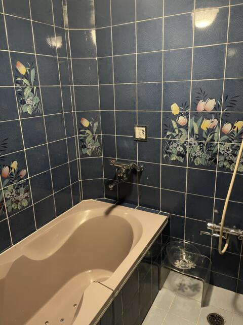 hotel SKY ROAD(豊島区/ラブホテル)の写真『321号室　浴室』by KAIJKR