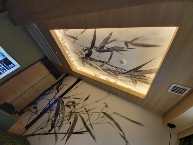 HOTEL KARUTA 赤坂(港区/ラブホテル)の写真『503号室の天井照明』by angler