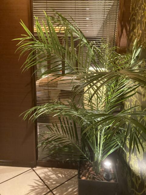 ホテル Swing（スウィング）(神戸市中央区/ラブホテル)の写真『801号室　エントランスから部屋を眺める』by 風のヒューイ