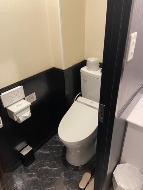 HOTEL Chelsea（チェルシー）(新宿区/ラブホテル)の写真『204号室のトイレ』by さとし03