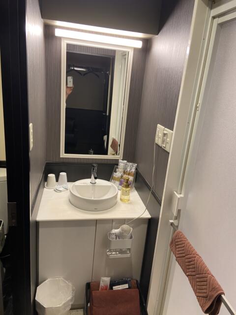 HOTEL Chelsea（チェルシー）(新宿区/ラブホテル)の写真『204号室の洗面所』by さとし03