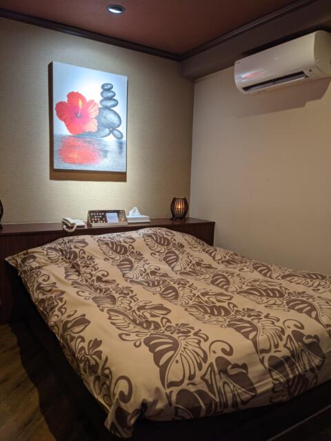 ホテルViVi(相模原市/ラブホテル)の写真『203号室、ベッド』by 爽やかエロリーマン