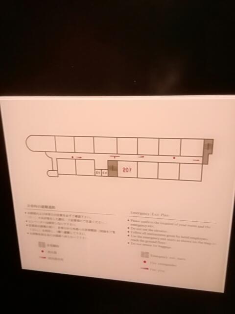 HOTEL COCO RESORT（ココリゾート）(厚木市/ラブホテル)の写真『207号室部屋の見取図です。(21,9)』by キジ