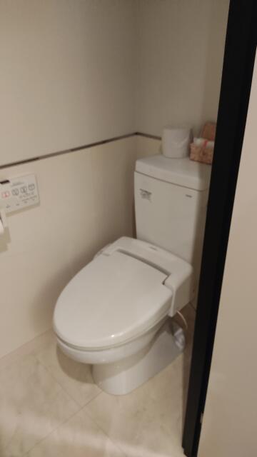 HOTEL ONYX（オニキス）(渋谷区/ラブホテル)の写真『202号室 トイレ』by ところてんえもん