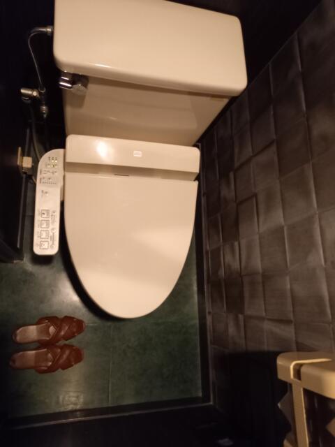 ラックス(台東区/ラブホテル)の写真『302号室、トイレ』by イシバシ