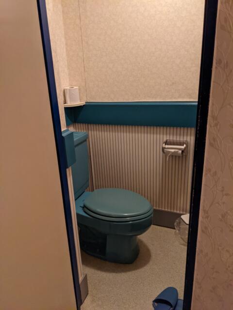 ドルフィン(新宿区/ラブホテル)の写真『407号室(トイレ)』by マーシ