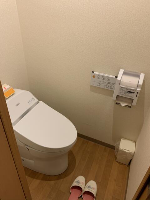 ホテル MARE（マーレ）(品川区/ラブホテル)の写真『107号室　トイレ』by 夜遊びおじさん