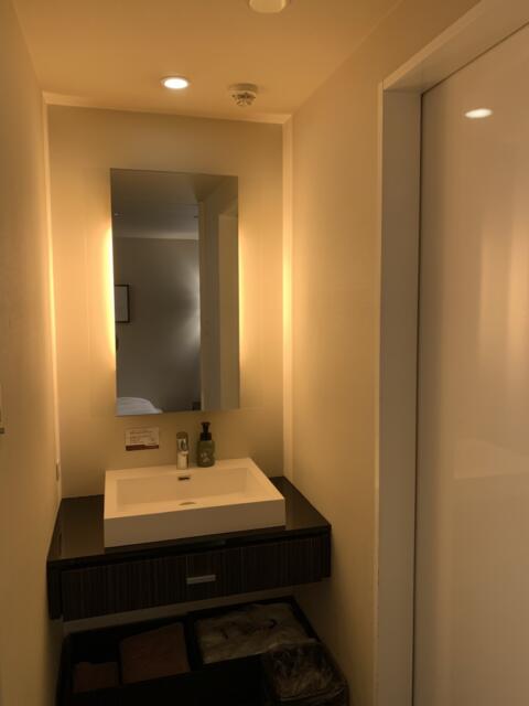 BIX（ビックス）(品川区/ラブホテル)の写真『301号室　洗面所』by 夜遊びおじさん