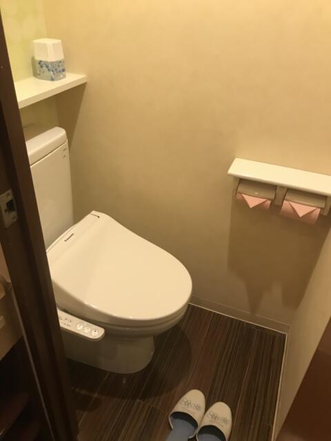 ビアンカドゥエ(豊島区/ラブホテル)の写真『202号室　トイレ』by がいあの剣