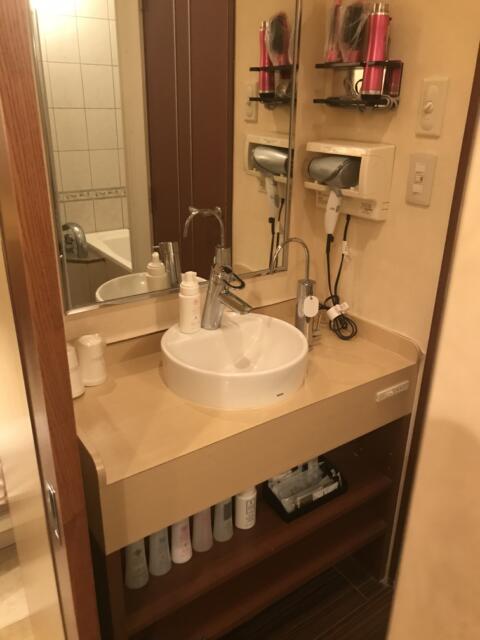 ビアンカドゥエ(豊島区/ラブホテル)の写真『202号室　洗面台』by がいあの剣