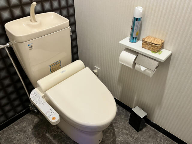 HOTEL SARA sweet（サラスイート）(墨田区/ラブホテル)の写真『302号室　トイレ』by INA69