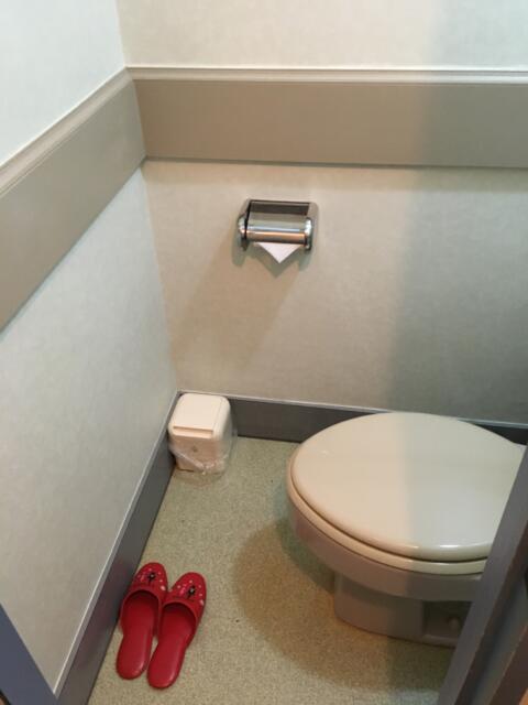 ドルフィン(新宿区/ラブホテル)の写真『406号室　トイレ』by ちげ