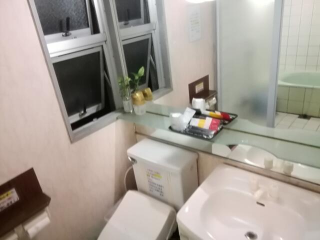 HOTEL LUPINUS（ルピナス）(大和市/ラブホテル)の写真『305号室、洗面所の小物です。(21,10)』by キジ