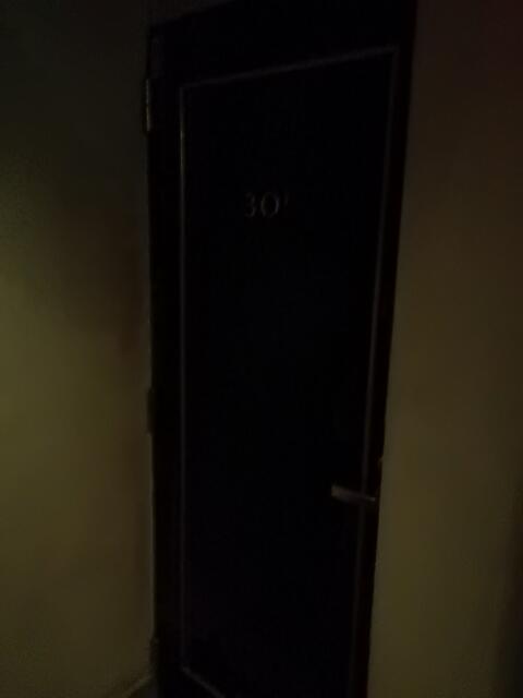 HOTEL LUPINUS（ルピナス）(大和市/ラブホテル)の写真『305号室、部屋のﾄﾞｱ、真っ暗です。(21,10)』by キジ