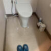 HOTEL EMPEROR（エンペラー）(焼津市/ラブホテル)の写真『208号室　トイレ』by まさおJリーグカレーよ