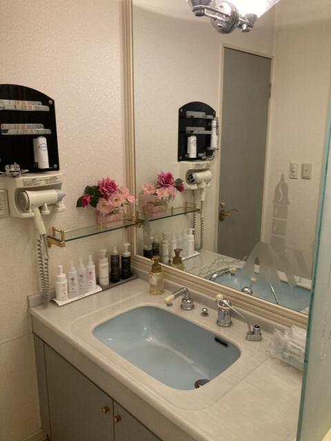 ホテル女神(浜松市/ラブホテル)の写真『28号室洗面所２』by 一刀流