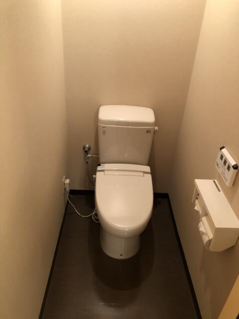 ヒルズホテル五反田(品川区/ラブホテル)の写真『209号室、トイレ』by かとう茨城47