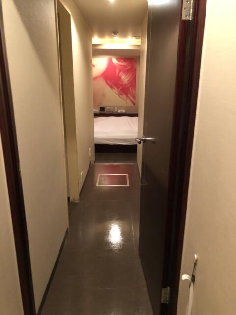ヒルズホテル五反田(品川区/ラブホテル)の写真『209号室、部屋入口』by かとう茨城47