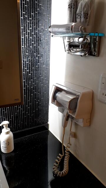 ホテル グッドワン(さいたま市大宮区/ラブホテル)の写真『203号室洗面台横のドライヤー』by 春風拳