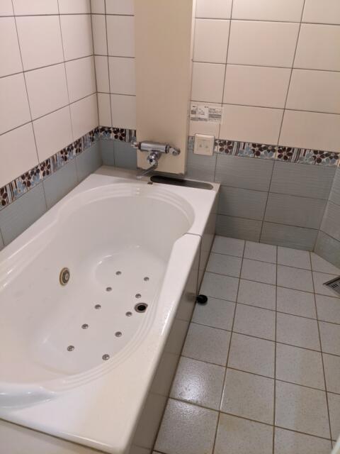 ホテルViVi(相模原市/ラブホテル)の写真『305号室、浴室』by 爽やかエロリーマン