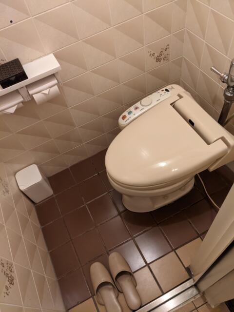 ホテル　エイト(新宿区/ラブホテル)の写真『206号室、トイレ』by 爽やかエロリーマン
