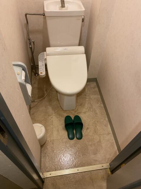 ホテル夕月 本館(さいたま市大宮区/ラブホテル)の写真『205号室(トイレ)』by こねほ