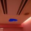 トキワ WEST（ニュートキワ）(豊島区/ラブホテル)の写真『702号室（ハートルーム）天井までハートの打ち抜き』by 市