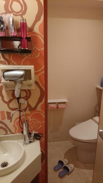 ビアンカドゥエ(豊島区/ラブホテル)の写真『301号室　トイレと洗面台』by hehu275