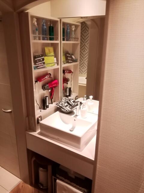 HOTEL LaLa Resort(台東区/ラブホテル)の写真『303号室利用、洗面所です。(21,11)』by キジ